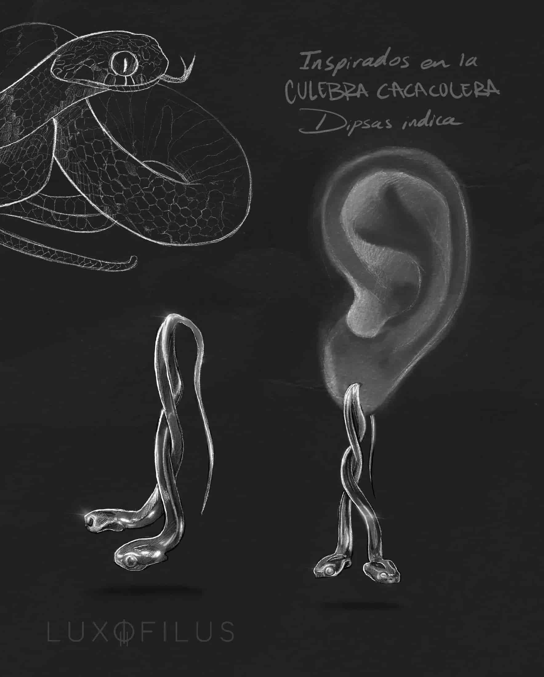 Aretes Culebra Caracolera - miniatura 4