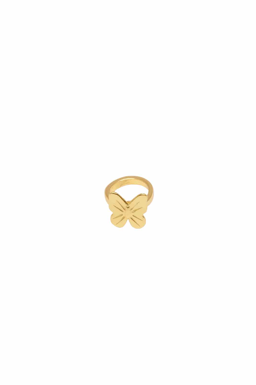 Baby flight Ring - miniatura 1