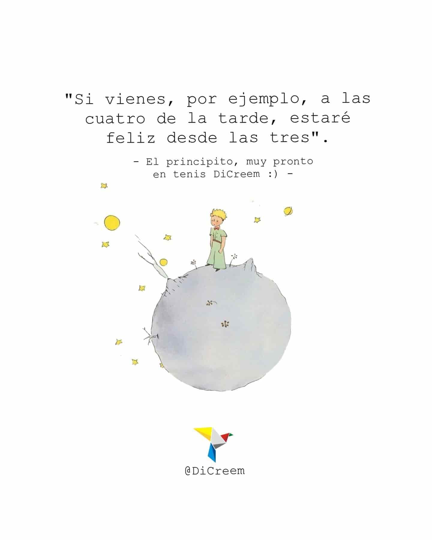 Principito y el planeta – Tenis CÓNDOR - miniatura 11