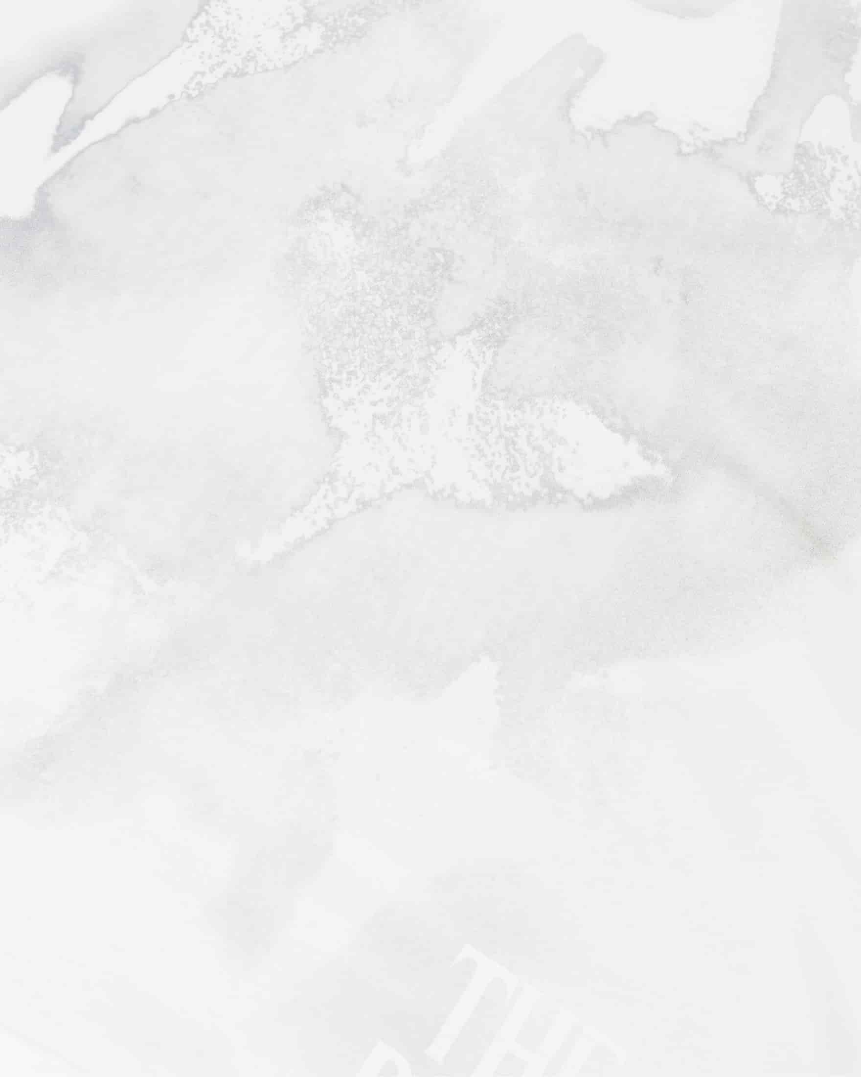 The Path Birds Tshirt White - miniatura 4