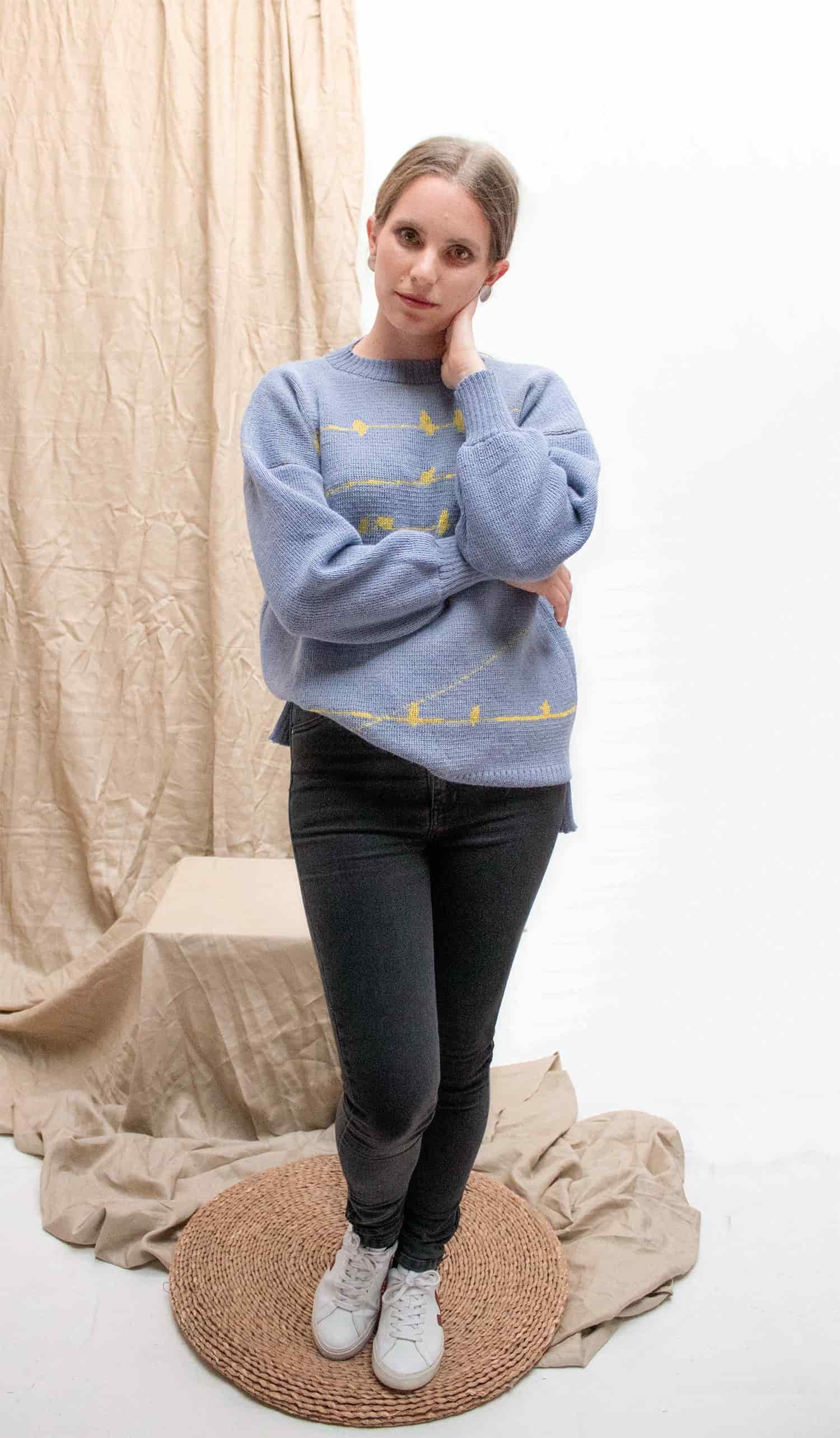 Suéter Pajaritos Alpaca - celeste y amarillo - miniatura 8