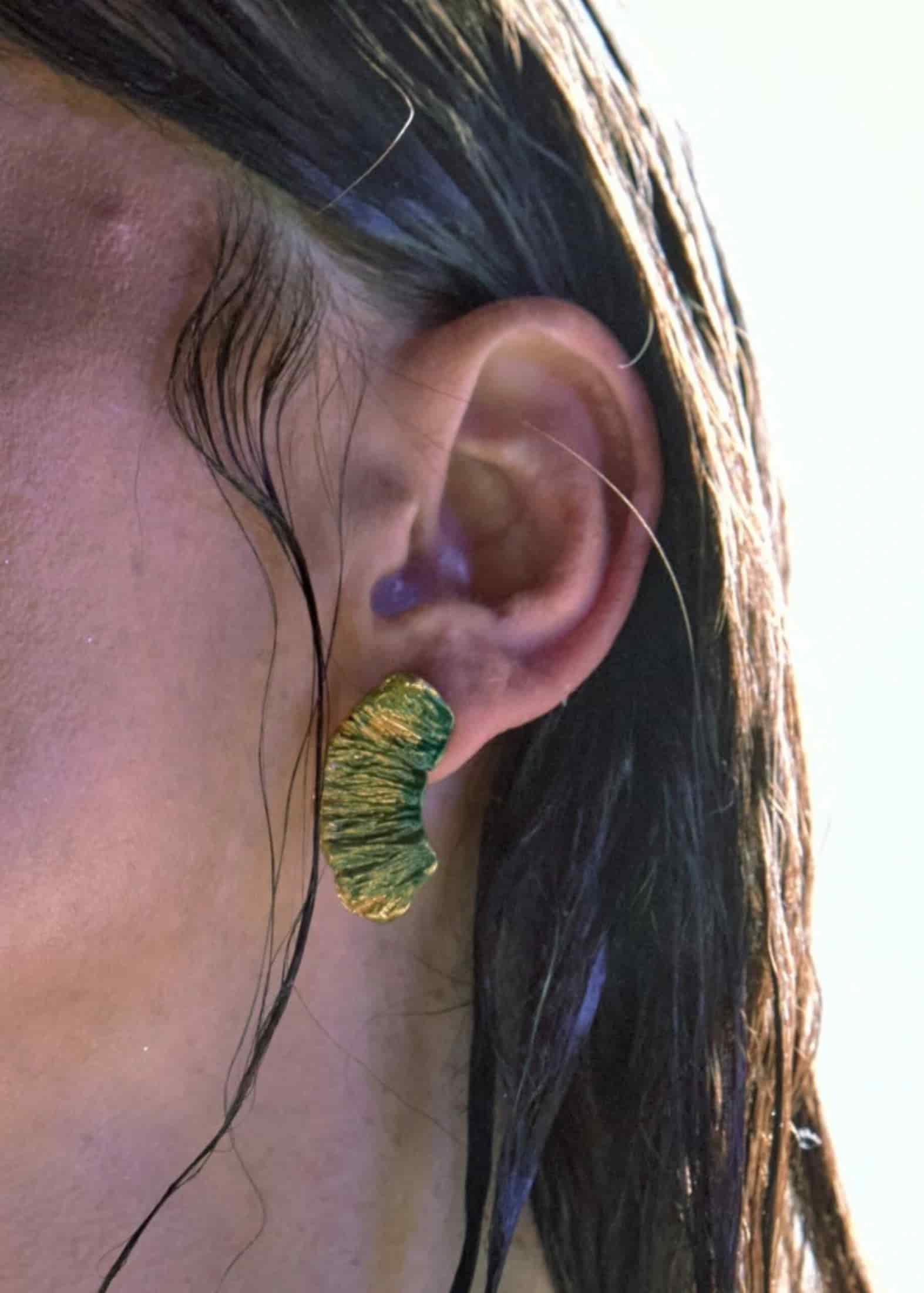 Aretes asimetricos viaje de la montaña - miniatura 1