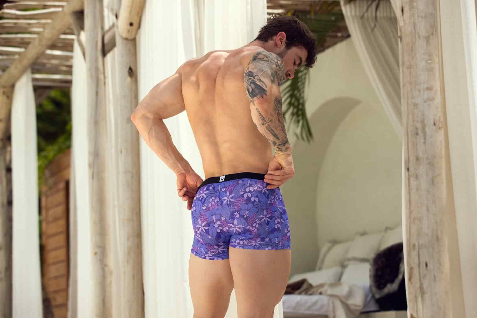 Boxer Orquidea - miniatura 2