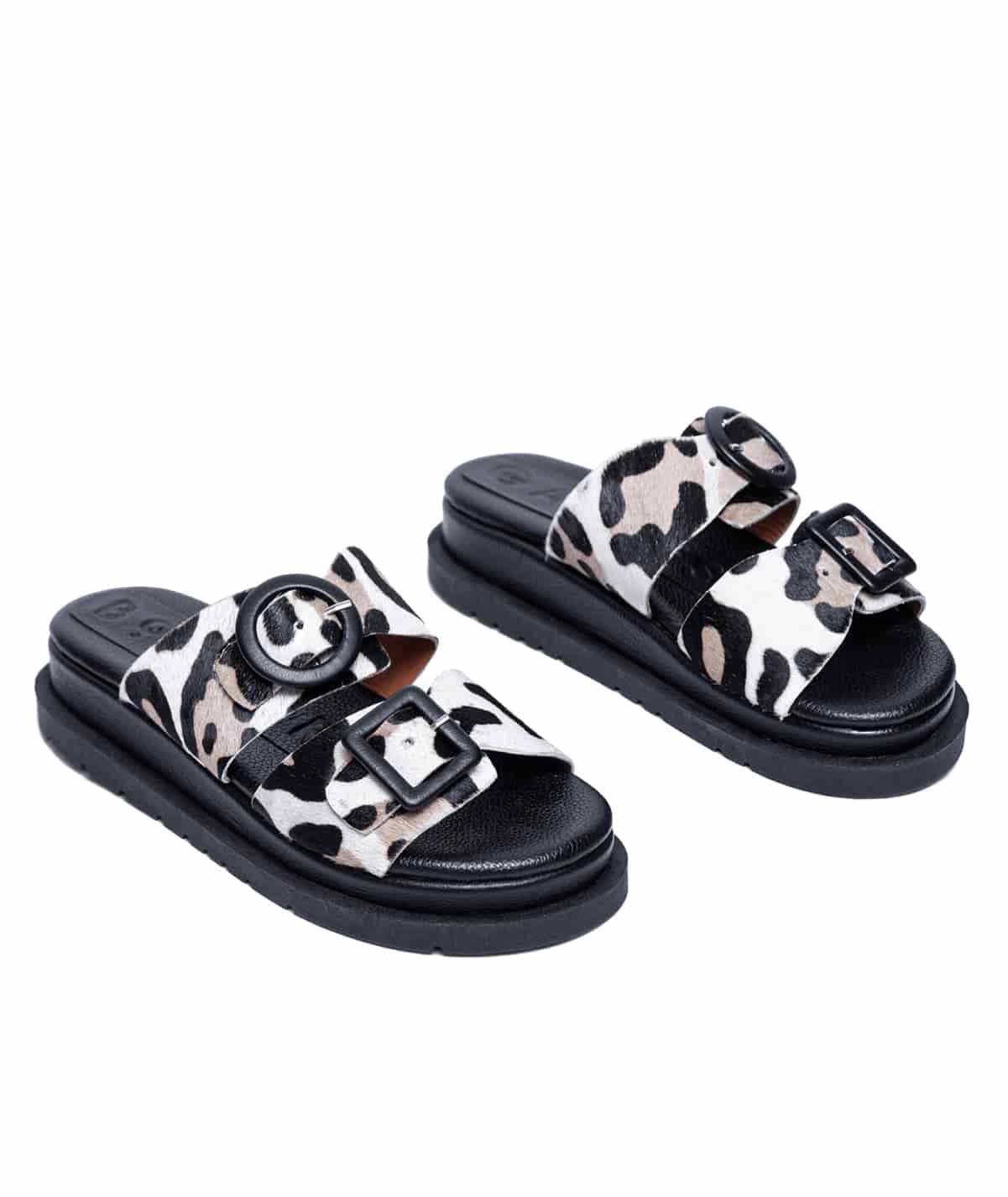 Allegra Leopardo - miniatura 3
