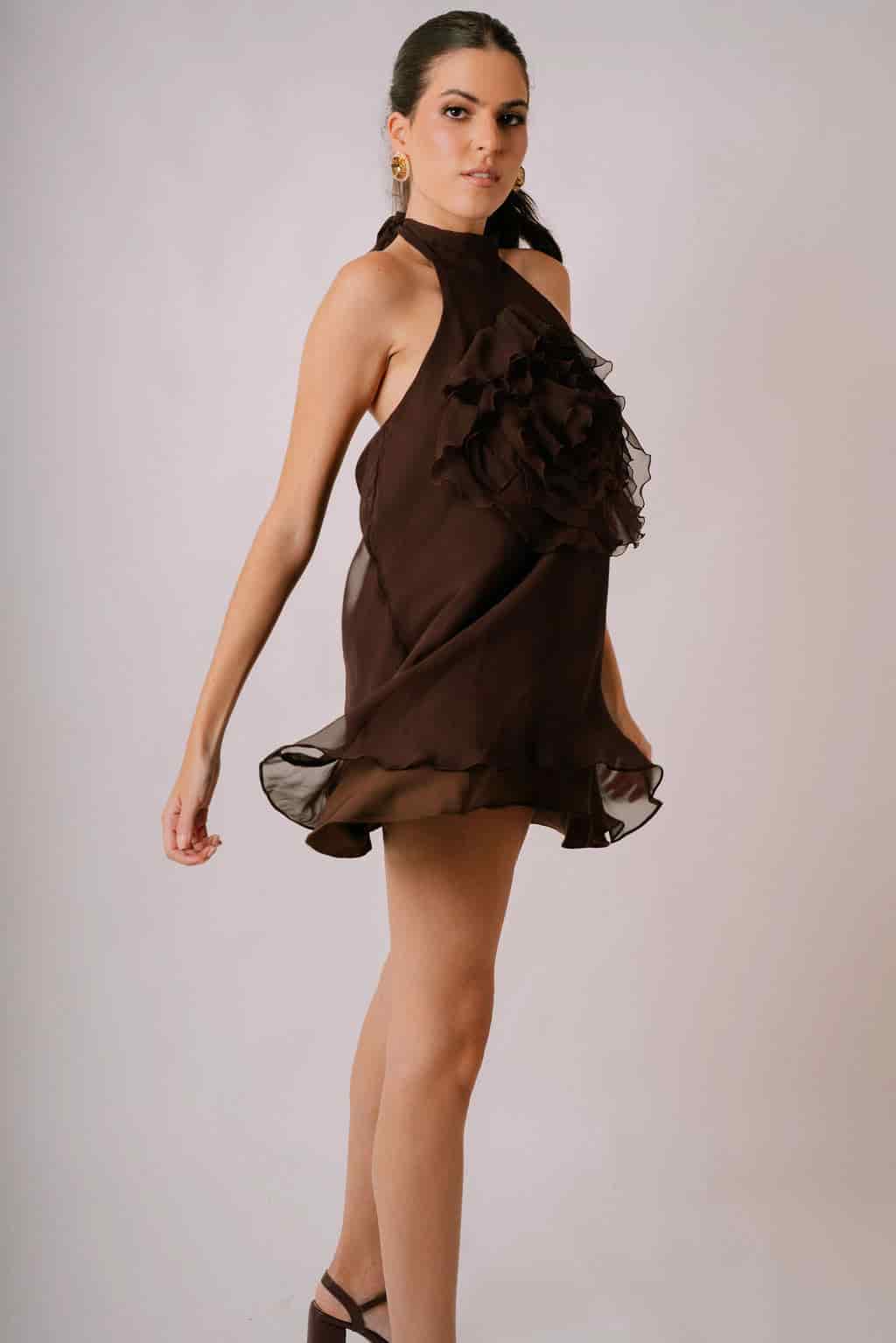 Carolina Chiffon Dress - miniatura 2