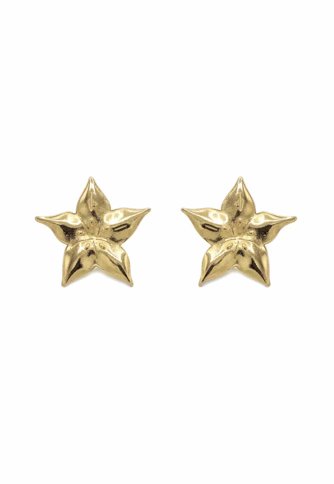 Baby Carambola Studs - miniatura 5