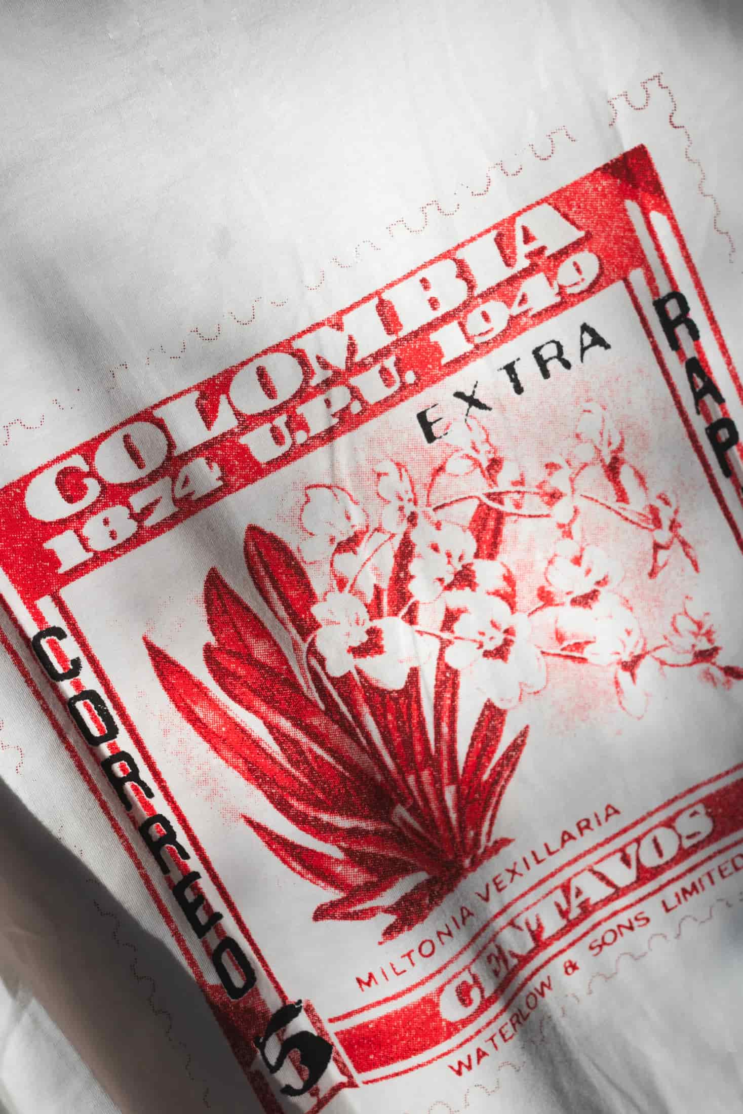 Camiseta Oversized – Miltonia Vexillaria - miniatura 3
