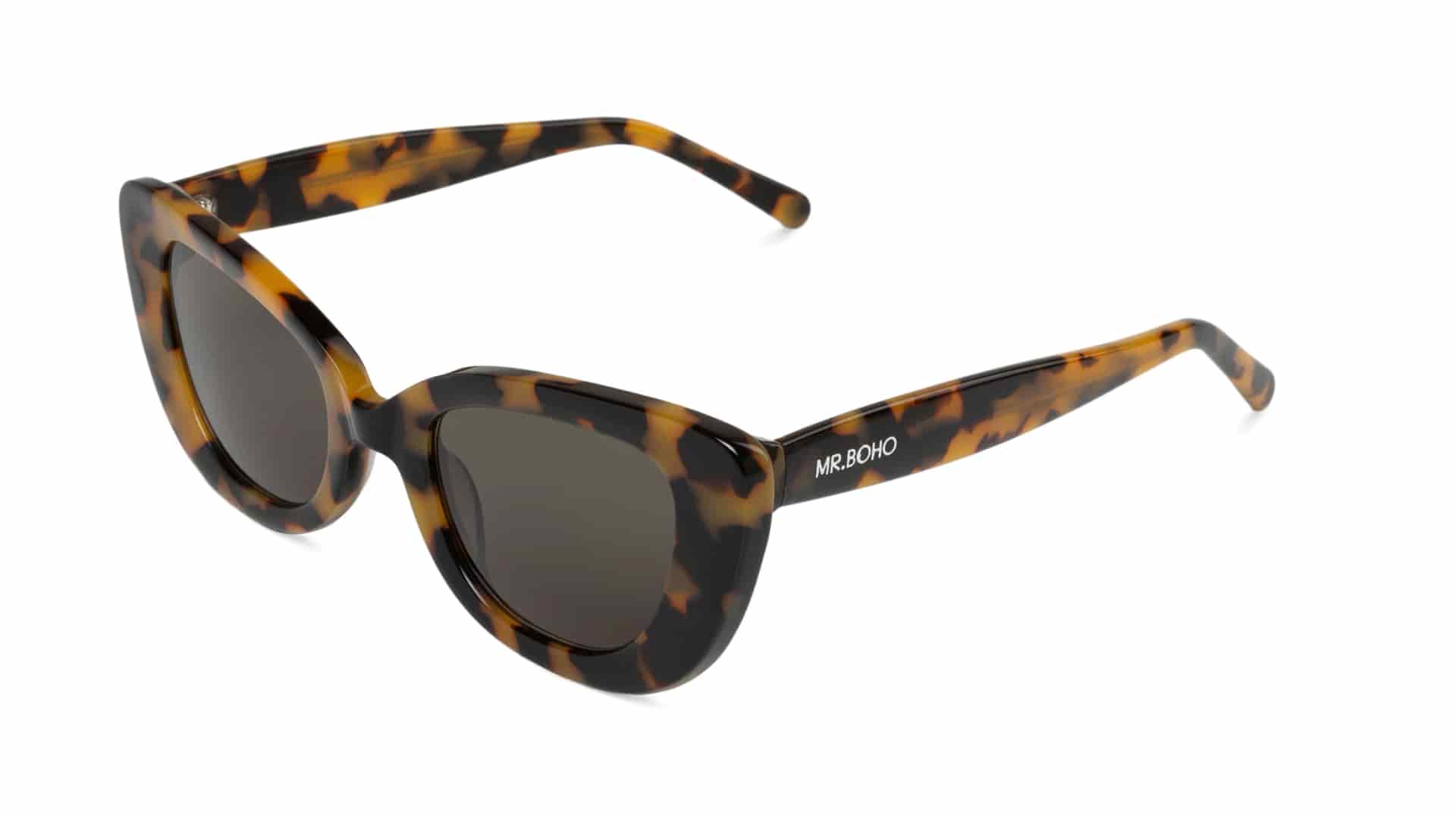 HC TORTOISE CAPARICA  WITH CLASSICAL LENSES - miniatura 2