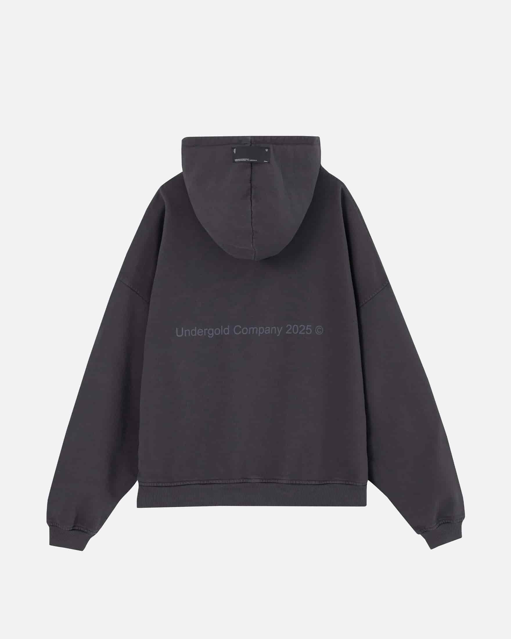 Stardust Symbol Hoodie Vintage Gray - miniatura 4