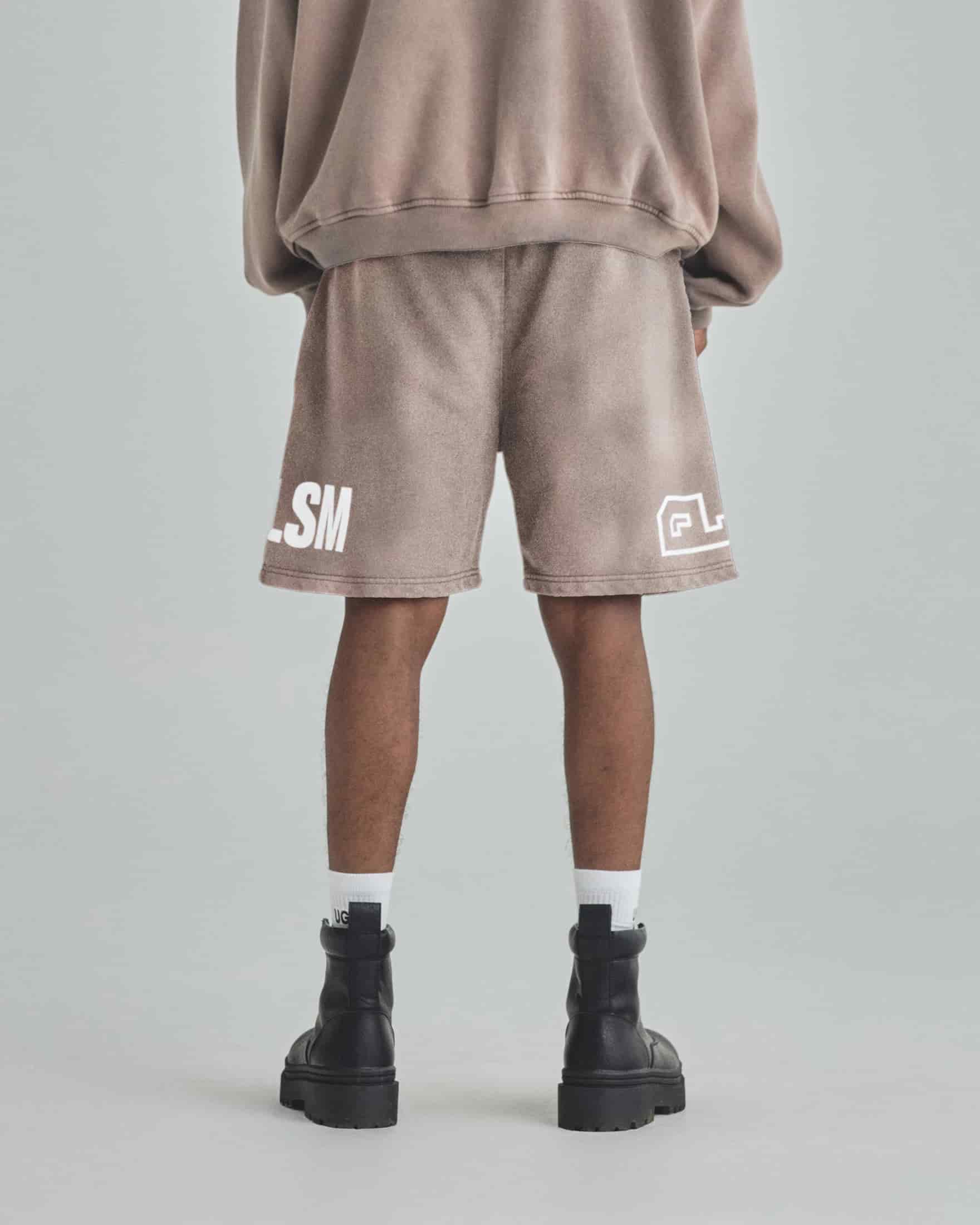 Spring 3.6.9 Biased Shorts Vintage Gray - miniatura 5
