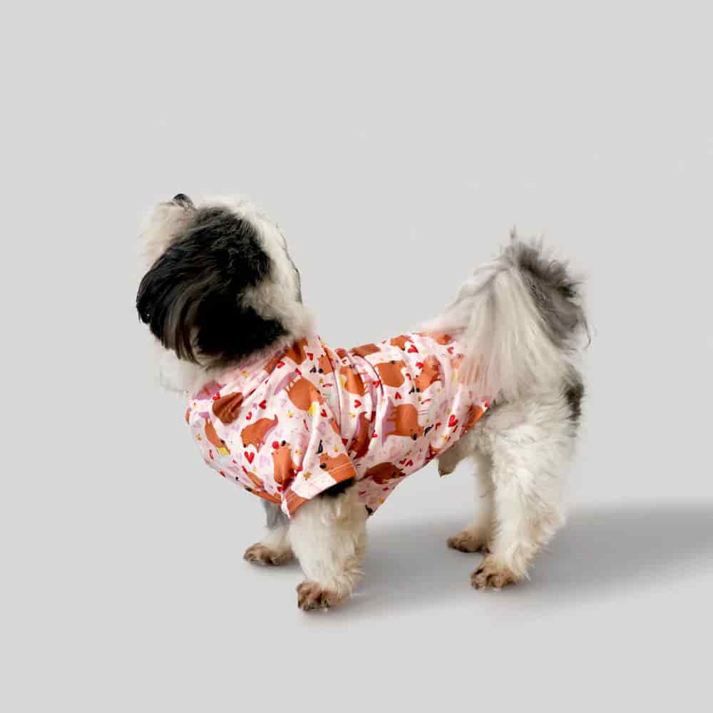 Pijama Estampada Perrito. - miniatura 2