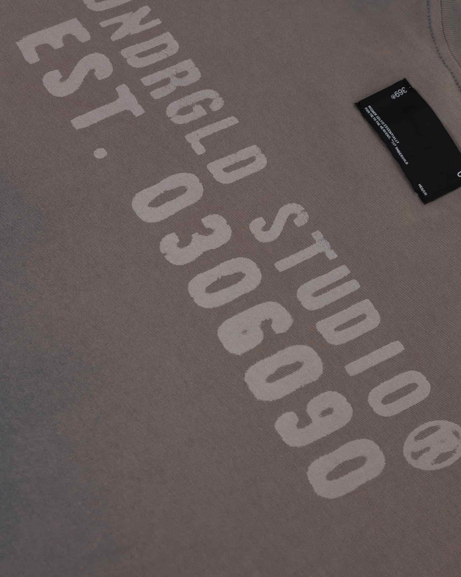 Spring Worn Logo Tshirt Sandblast Gray - miniatura 4
