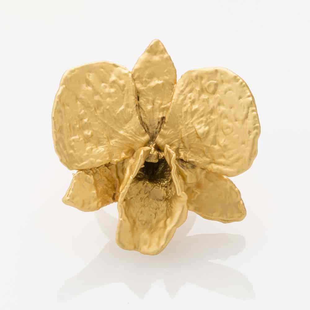 Dendrobium Ring - miniatura 1