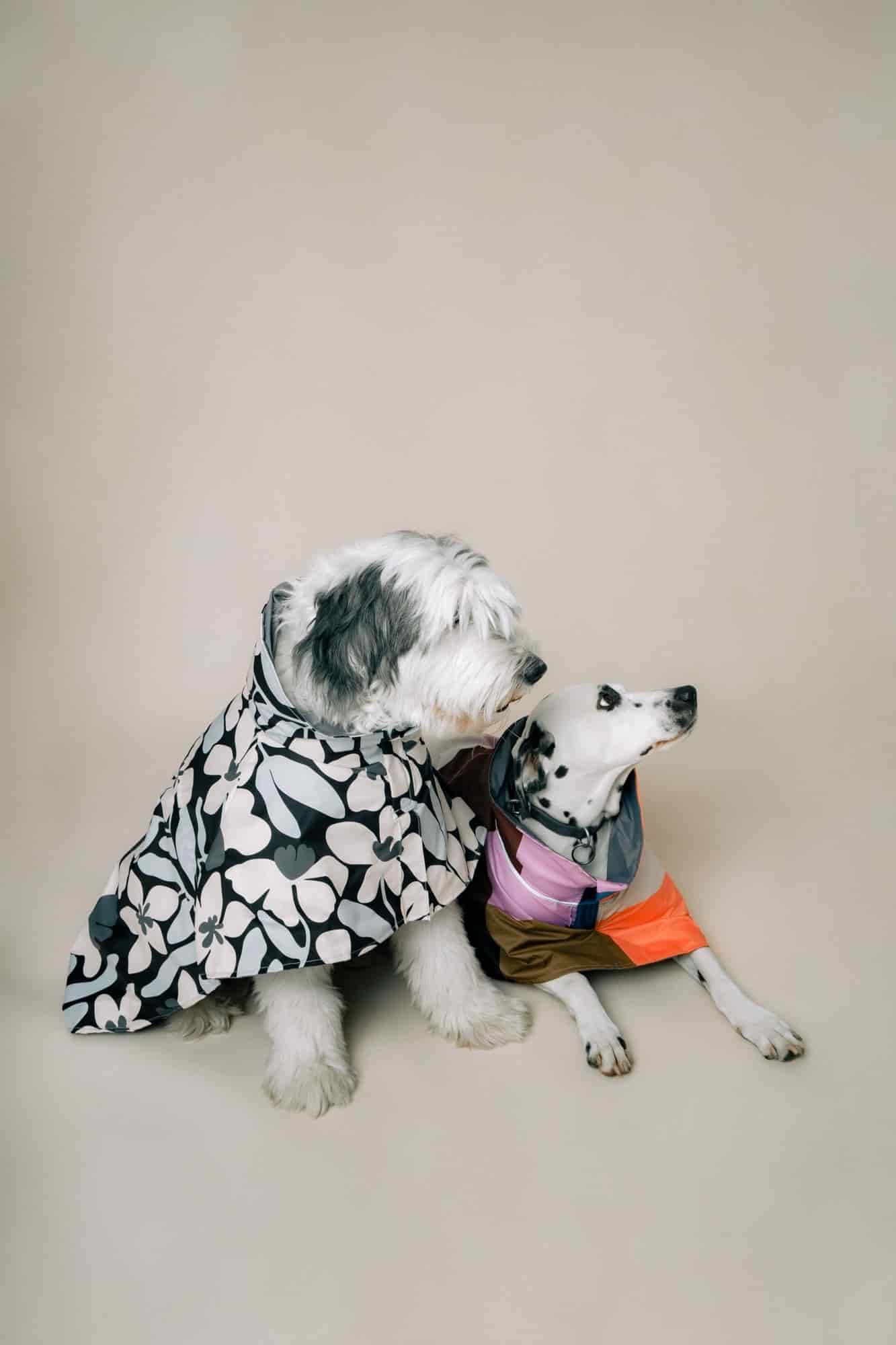 DOG´S RAINCOAT URBAN SPLASH - miniatura 4