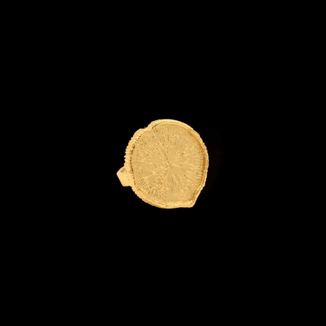 Anillo con hoja de victoria regia - miniatura 1