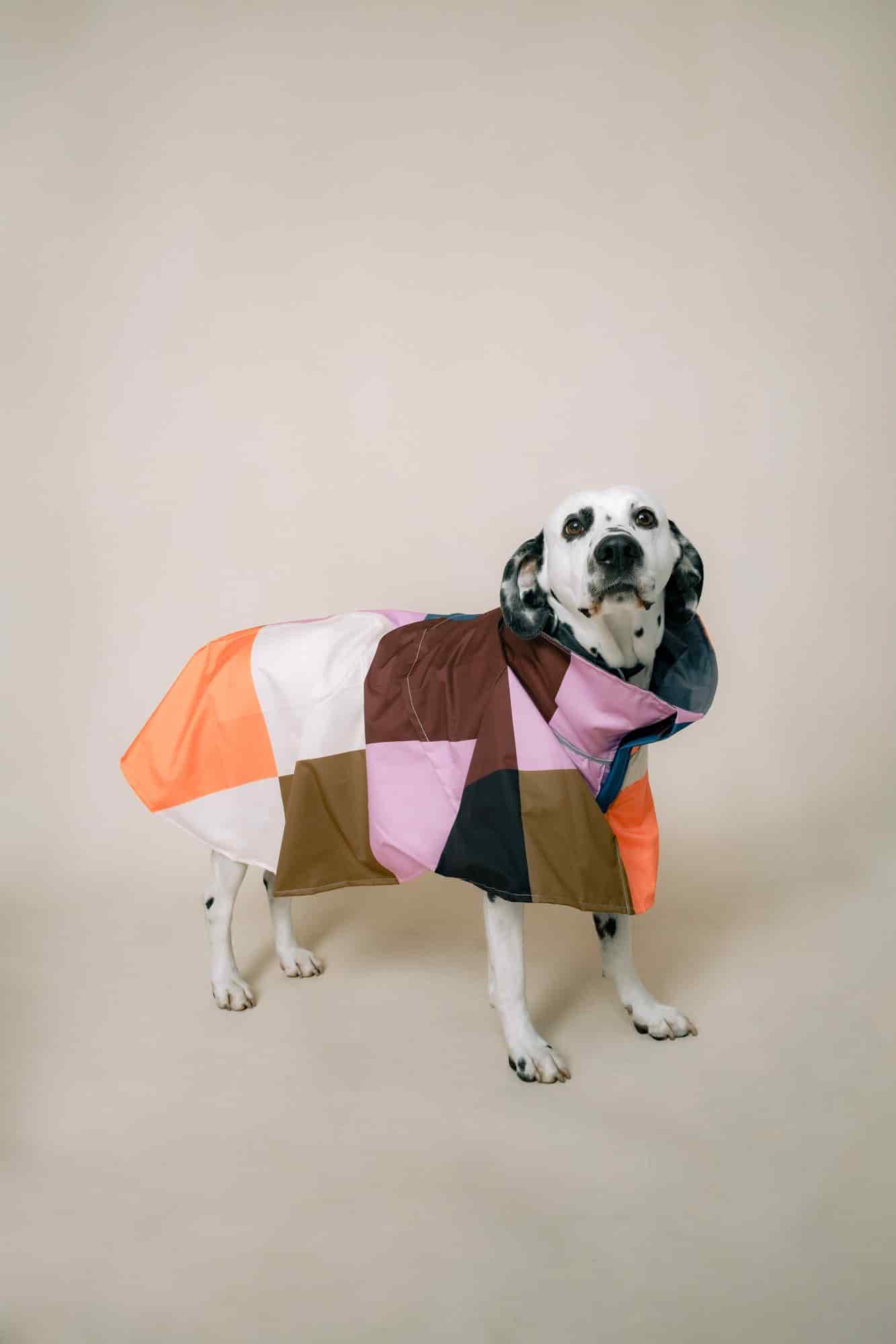 DOG´S RAINCOAT URBAN SPLASH - miniatura 1