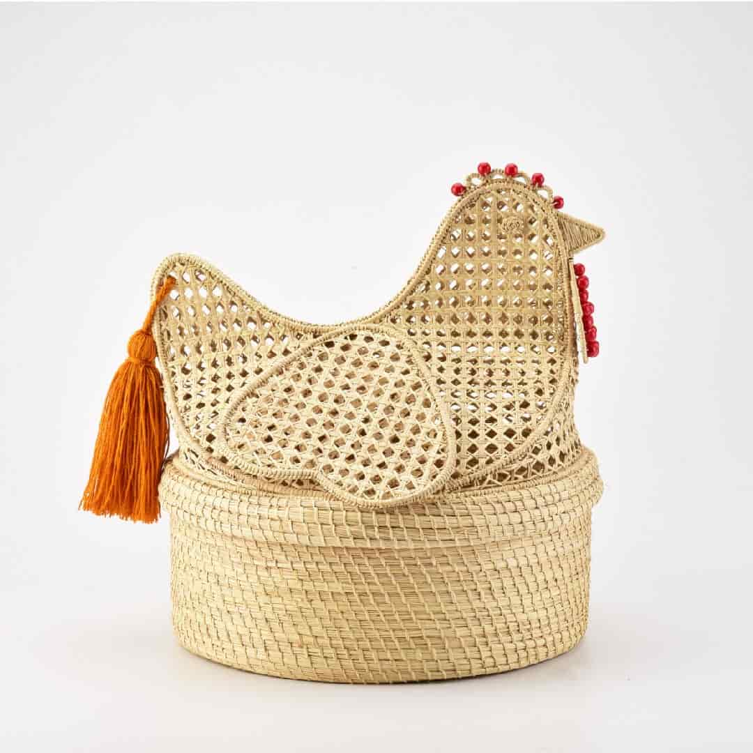 Gallina Josefina - miniatura 3