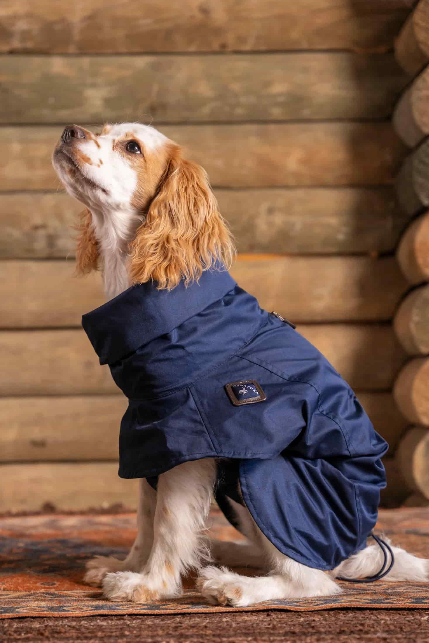 Impermeable Presidential Perro Azul Oscuro - miniatura 1