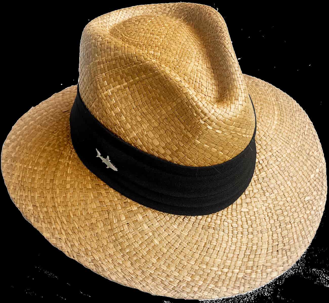 SOMBRERO OSCURO CINTA ANCHA NEGRA - miniatura 1