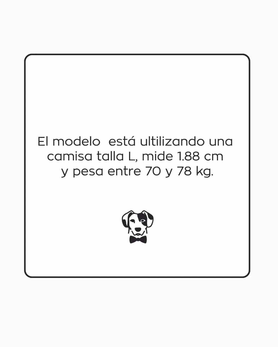 Camisa Antimanchas Popelina Baby Pink - Talla Regular - miniatura 9