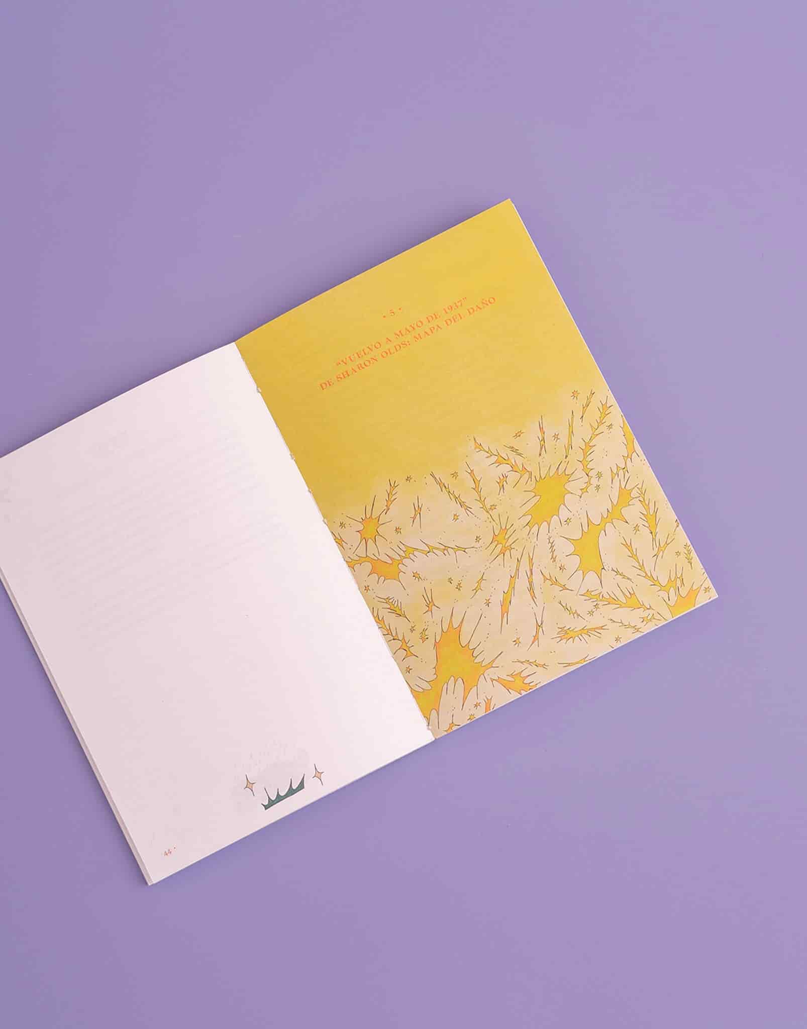LIBRO POEMAS COMO MAPAS - miniatura 4