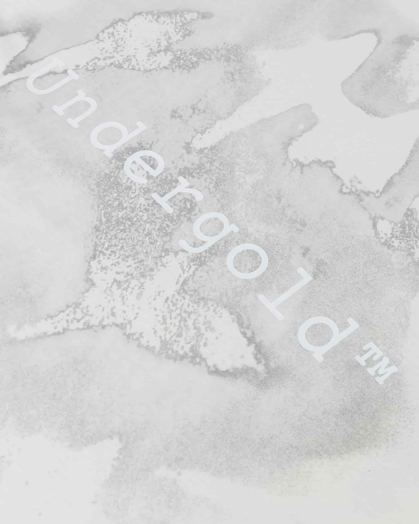 The Path Birds Tshirt White - miniatura 6