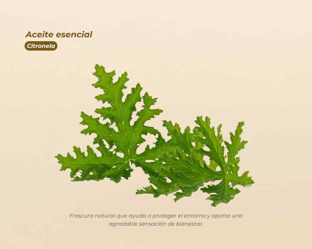 Aceites Esenciales 100% Puros para aromaterapia y bienestar - miniatura 7