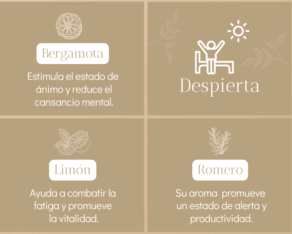 Kit Despierta - miniatura 4