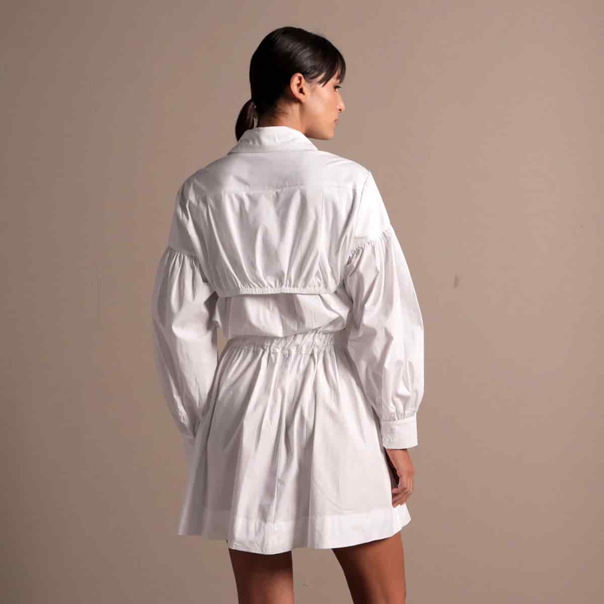Ref. 241 - miniatura 4