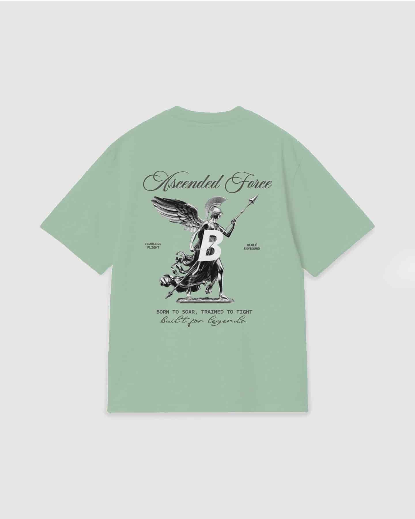 Oversized T Shirt Ascended Force Light Green - miniatura 1