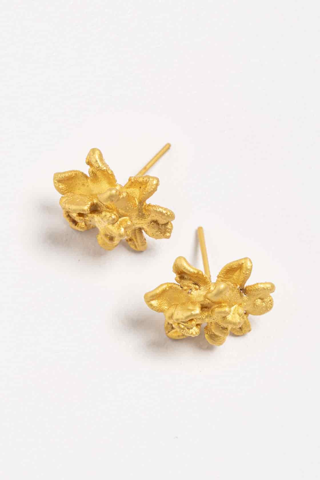 SIGMATOXTALIS STUDS - miniatura 3