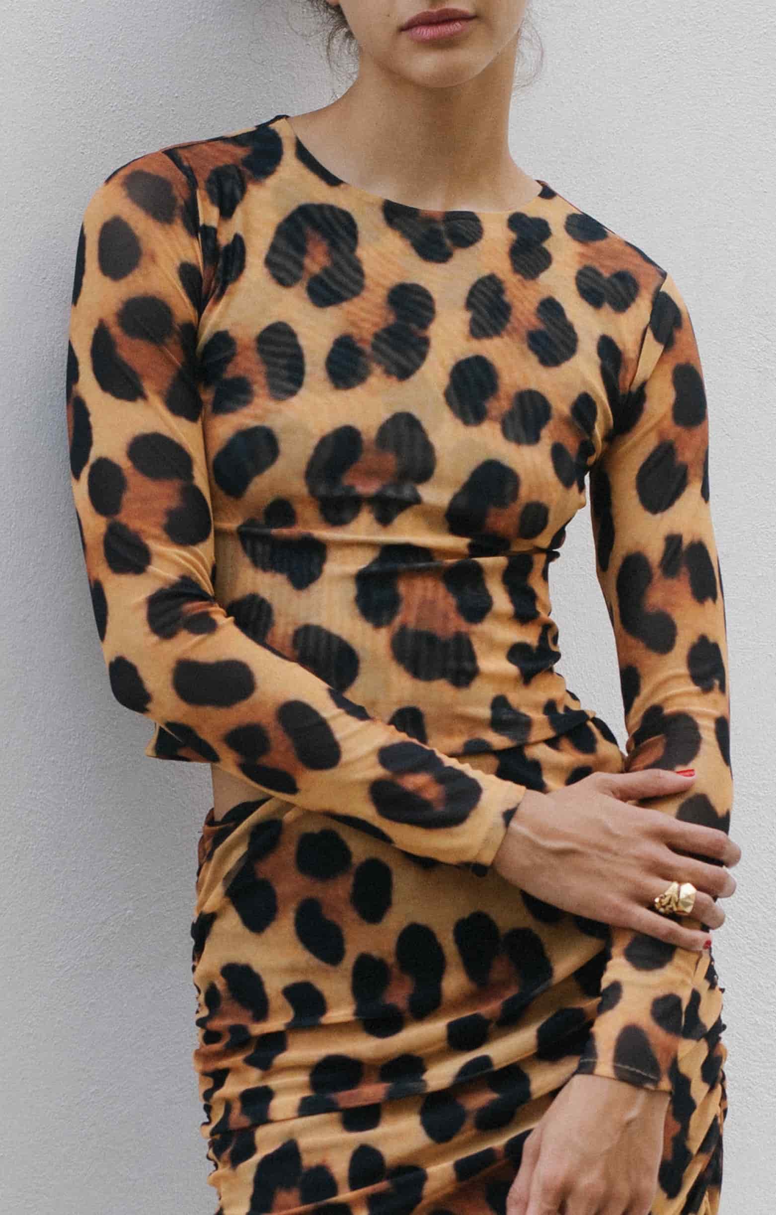 Leopardo Top - miniatura 3