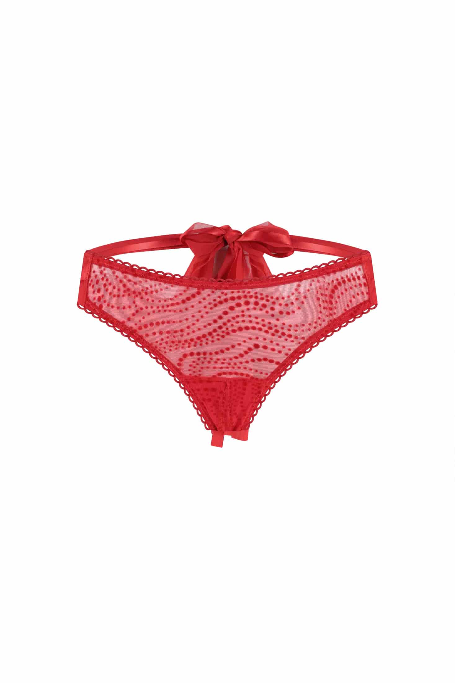 SCARLET ELLIPSE ECOS ROJO - miniatura 5