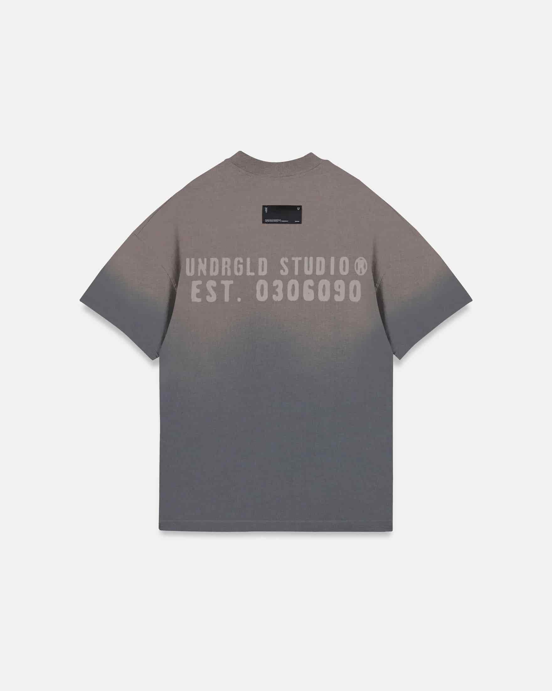 Spring Worn Logo Tshirt Sandblast Gray - miniatura 1