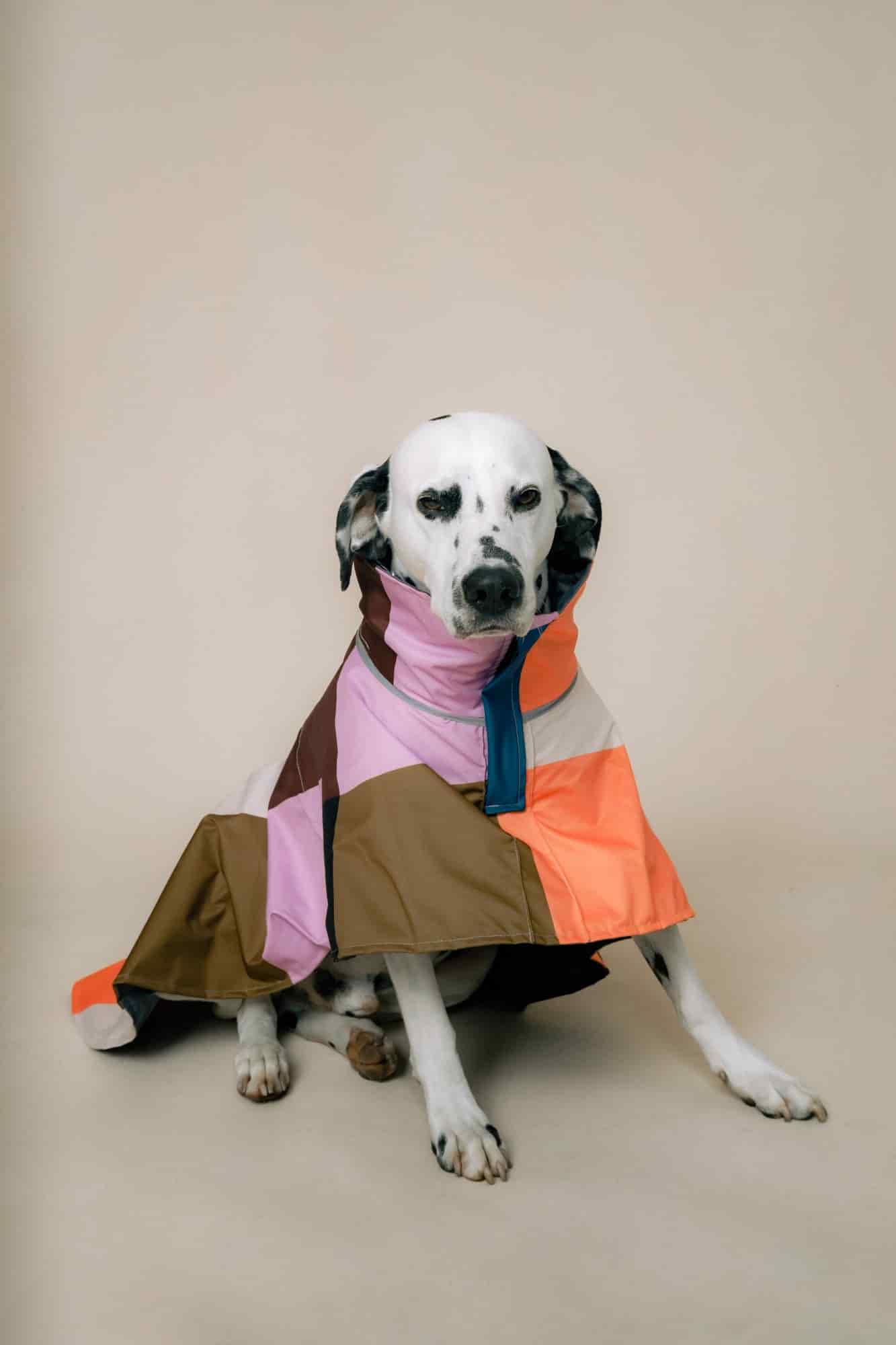 DOG´S RAINCOAT URBAN SPLASH - miniatura 2