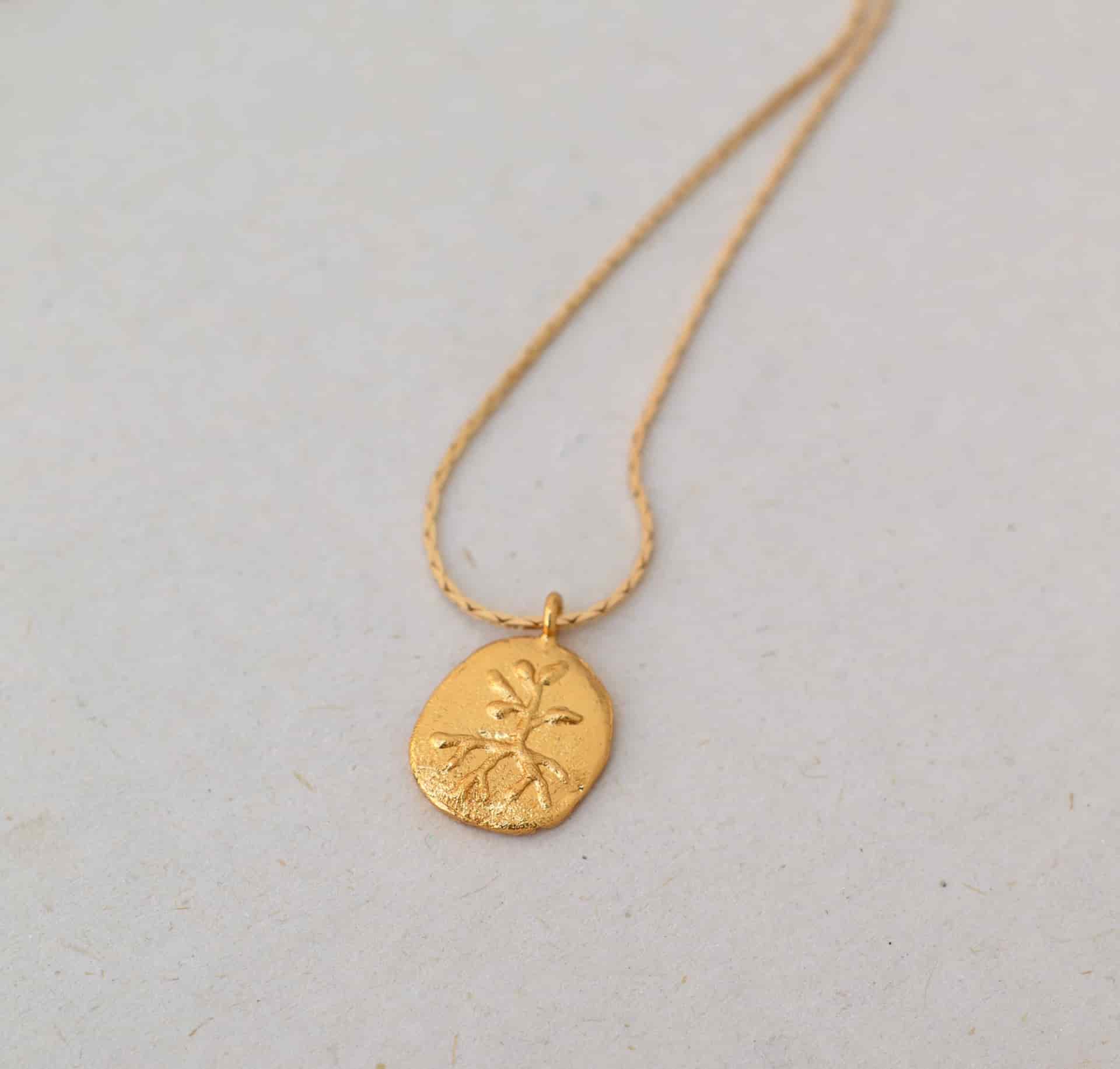 Collar Moneda raíz y fruto - miniatura 1