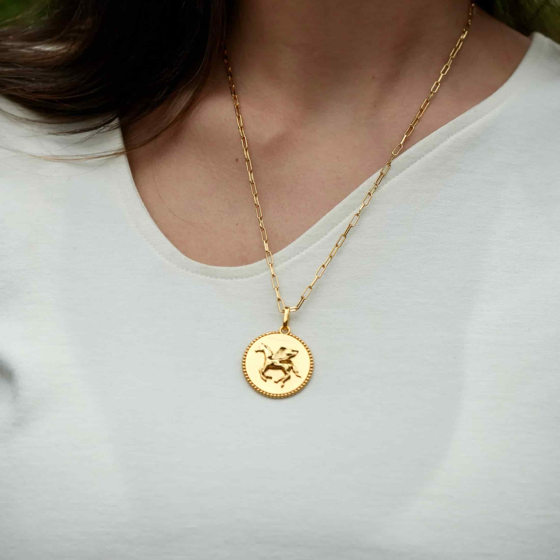 Collar Intuitive Horse - miniatura 2