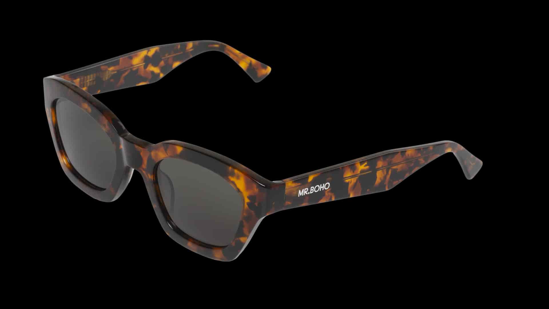 CHEETAH TORTOISE - BARROSA - WITH CLASSICAL LENSES - miniatura 2