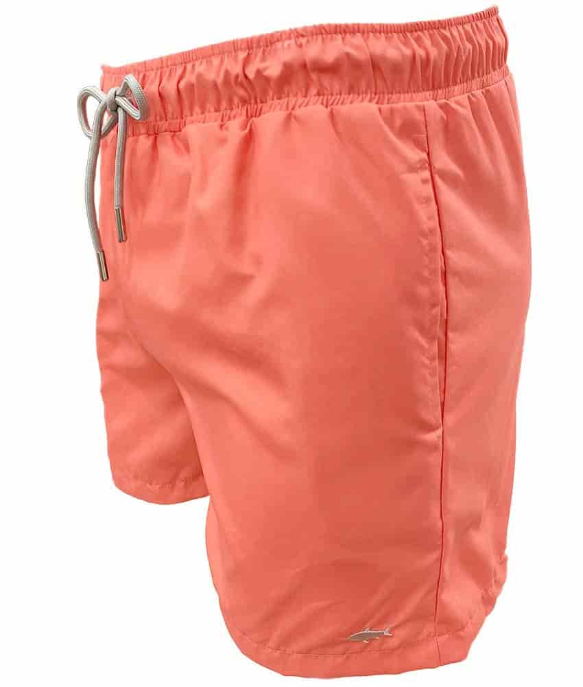PANTALONETA ROD TAYLOR - miniatura 4