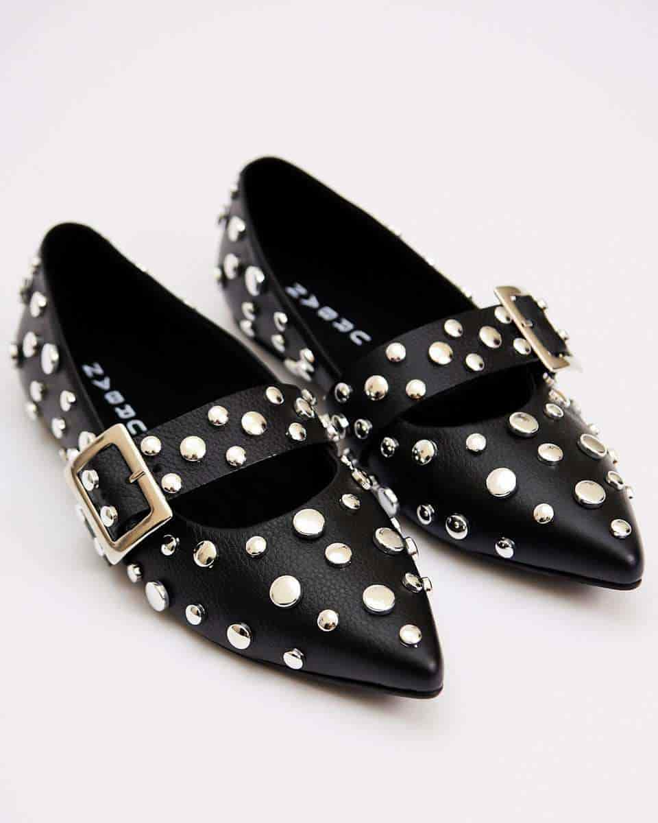POINTER FLATS BLACK - miniatura 1