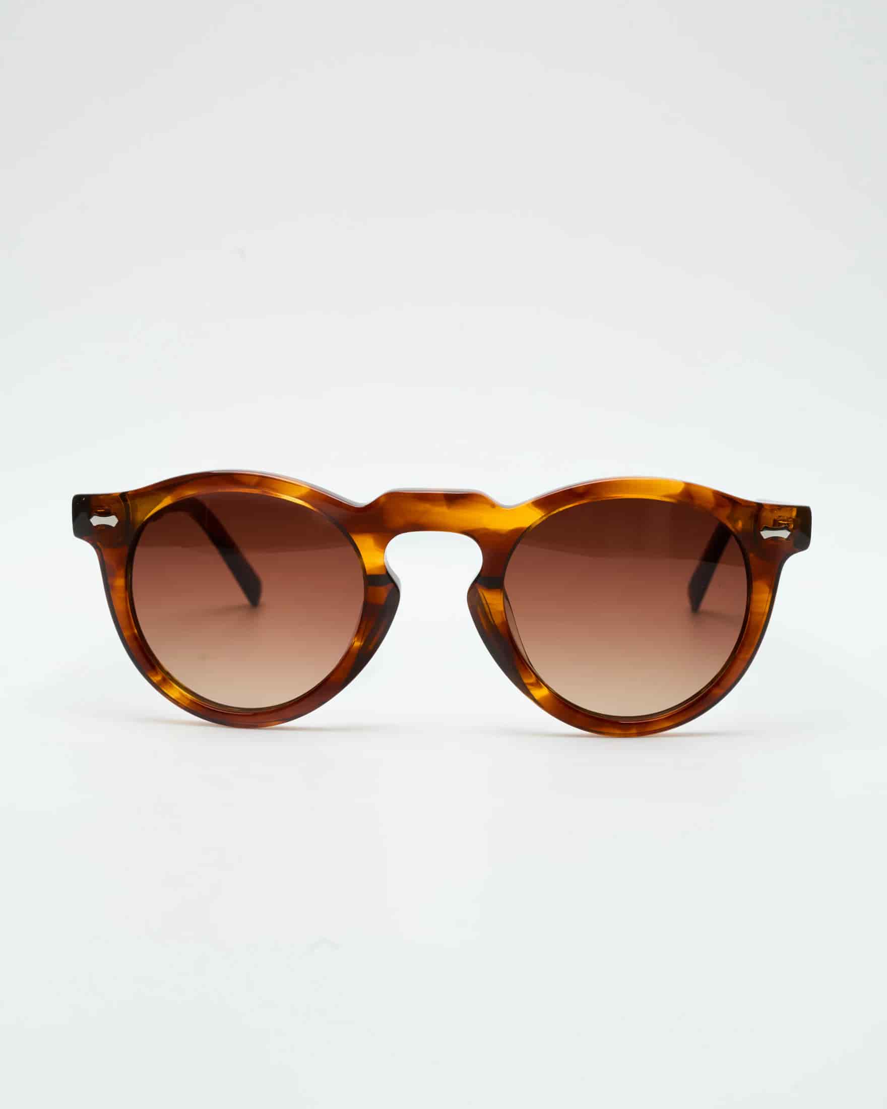 HARLEY - BROWN TORTOISE / GRADIENT BROWN - miniatura 3