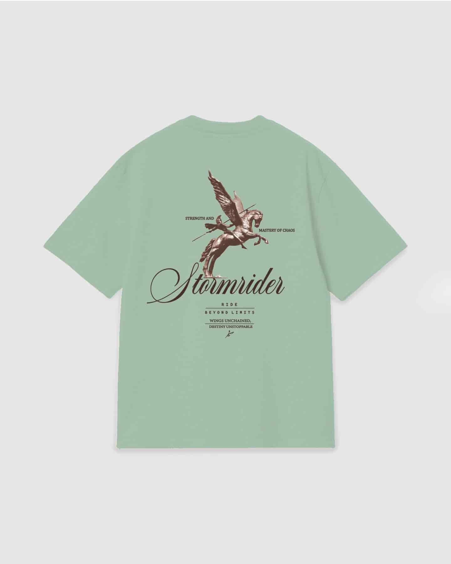 Oversized T Shirt Stormrider Light Green - miniatura 1