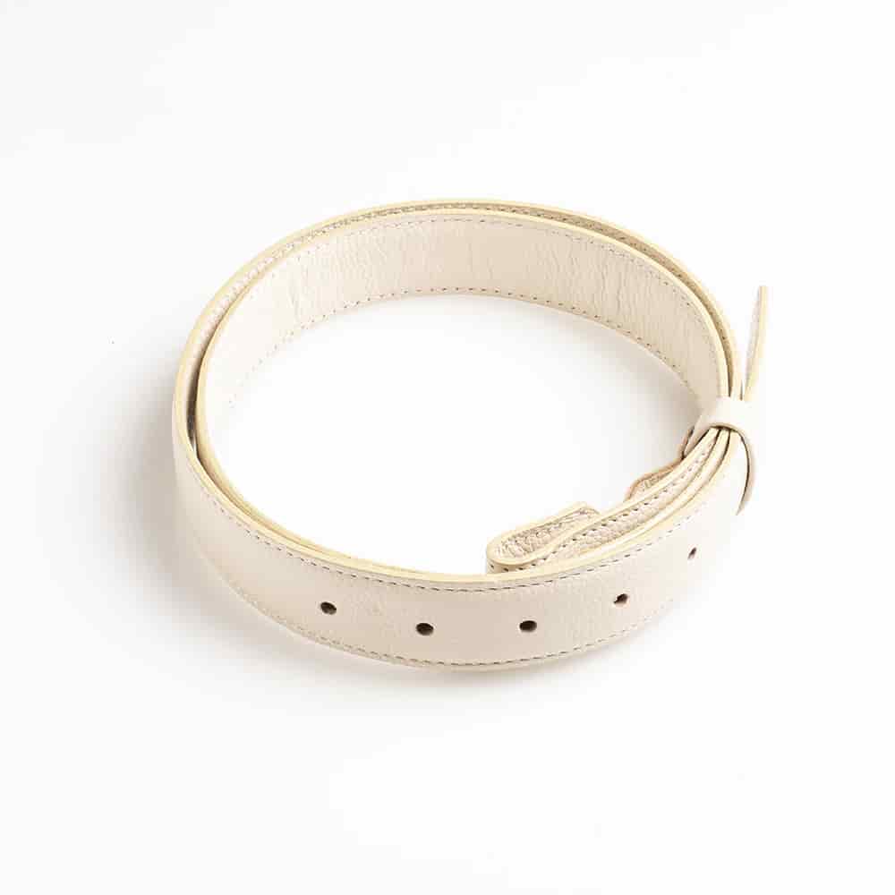 Anthurium Belt - miniatura 3
