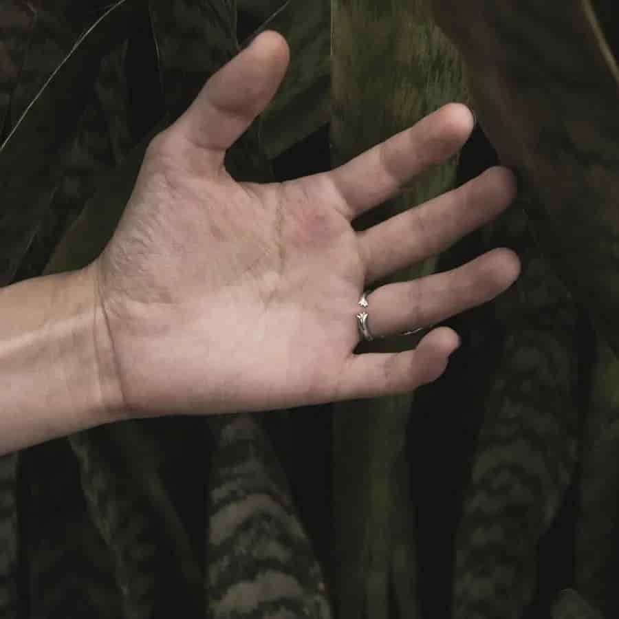 Anillo Capibara o Chigüiro - miniatura 2