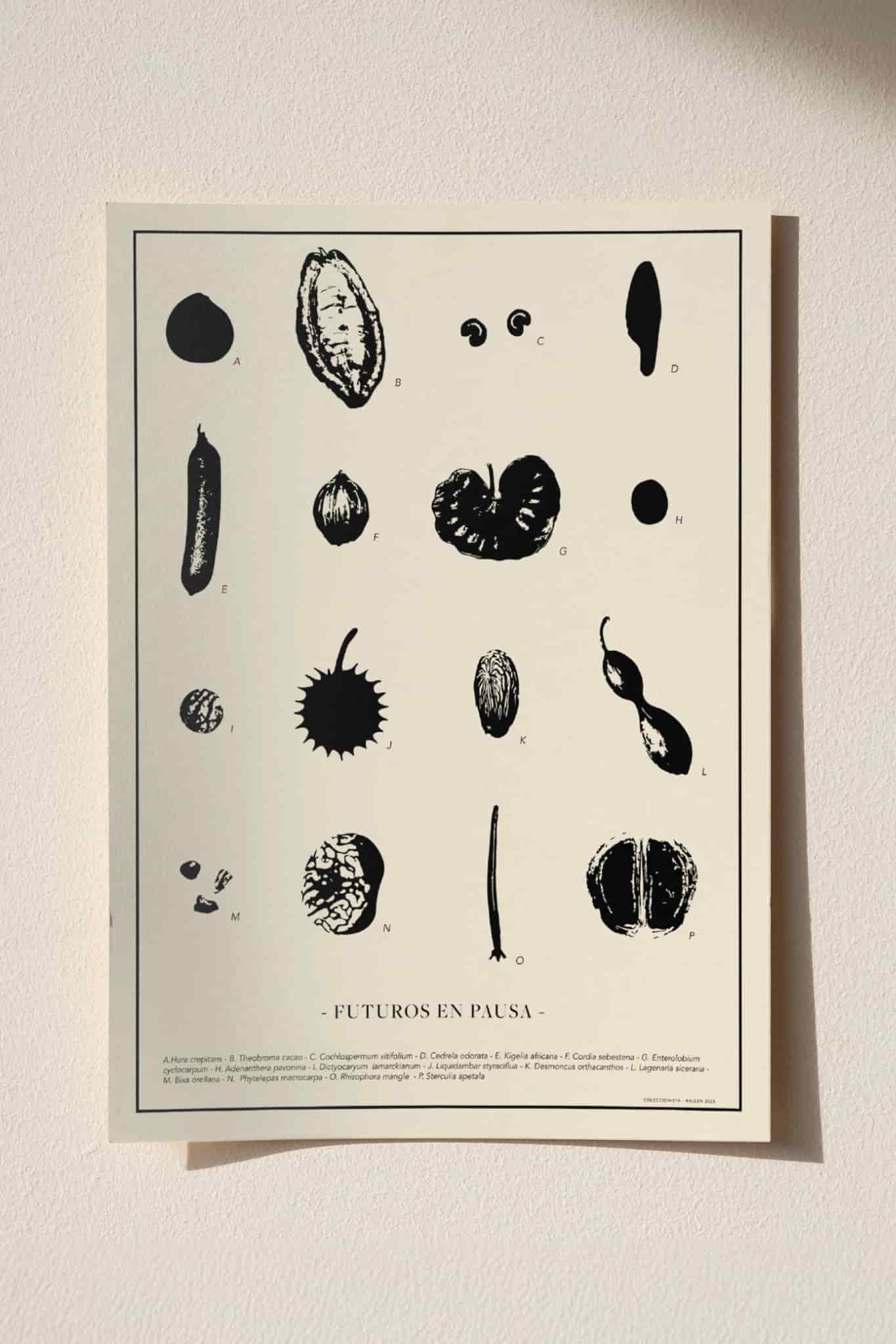 POSTER  30x40 -  FUTUROS EN PAUSA - miniatura 2