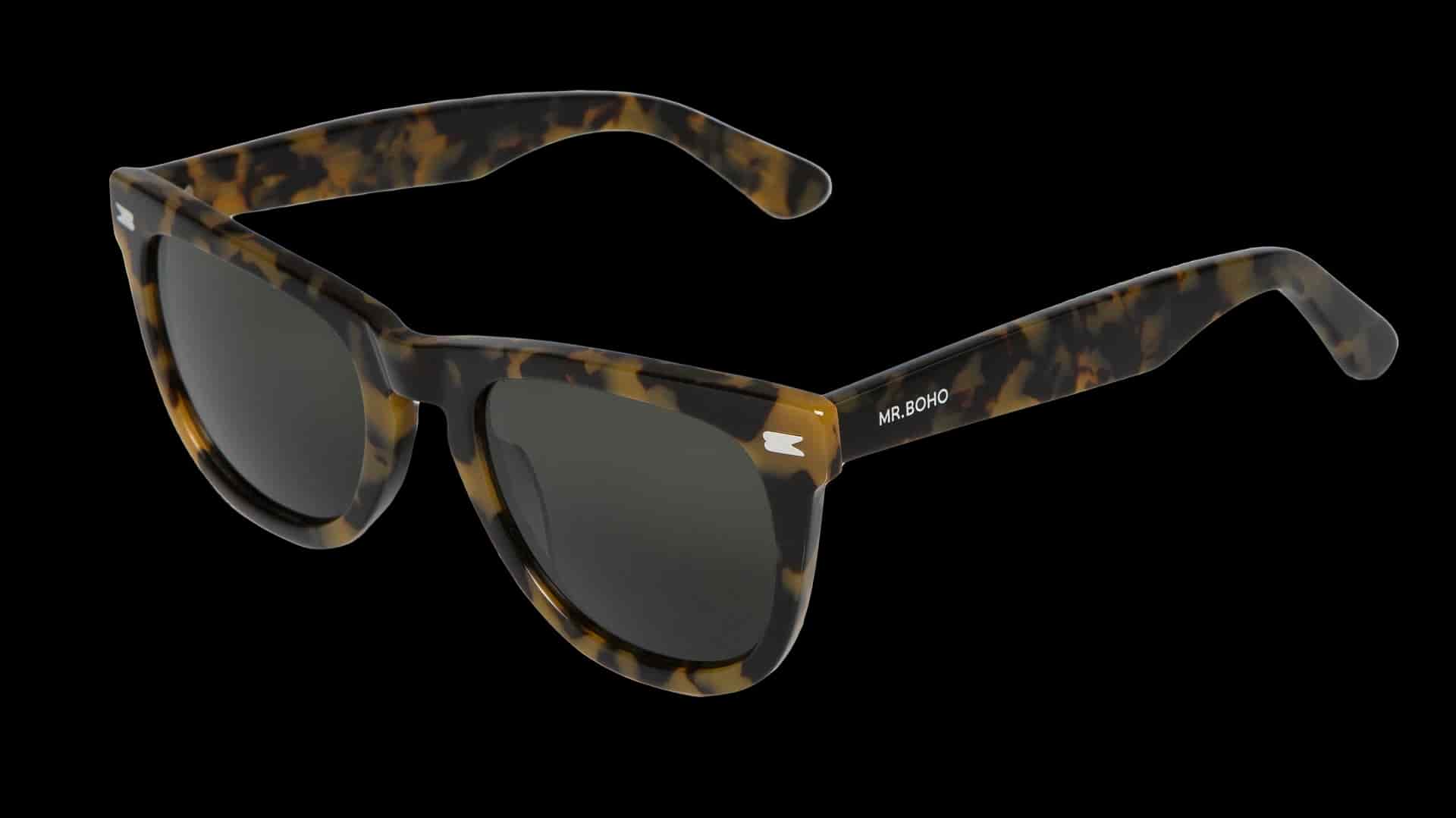 HC TORTOISE ALAMEDA WITH CLASSICAL LENSES - miniatura 2