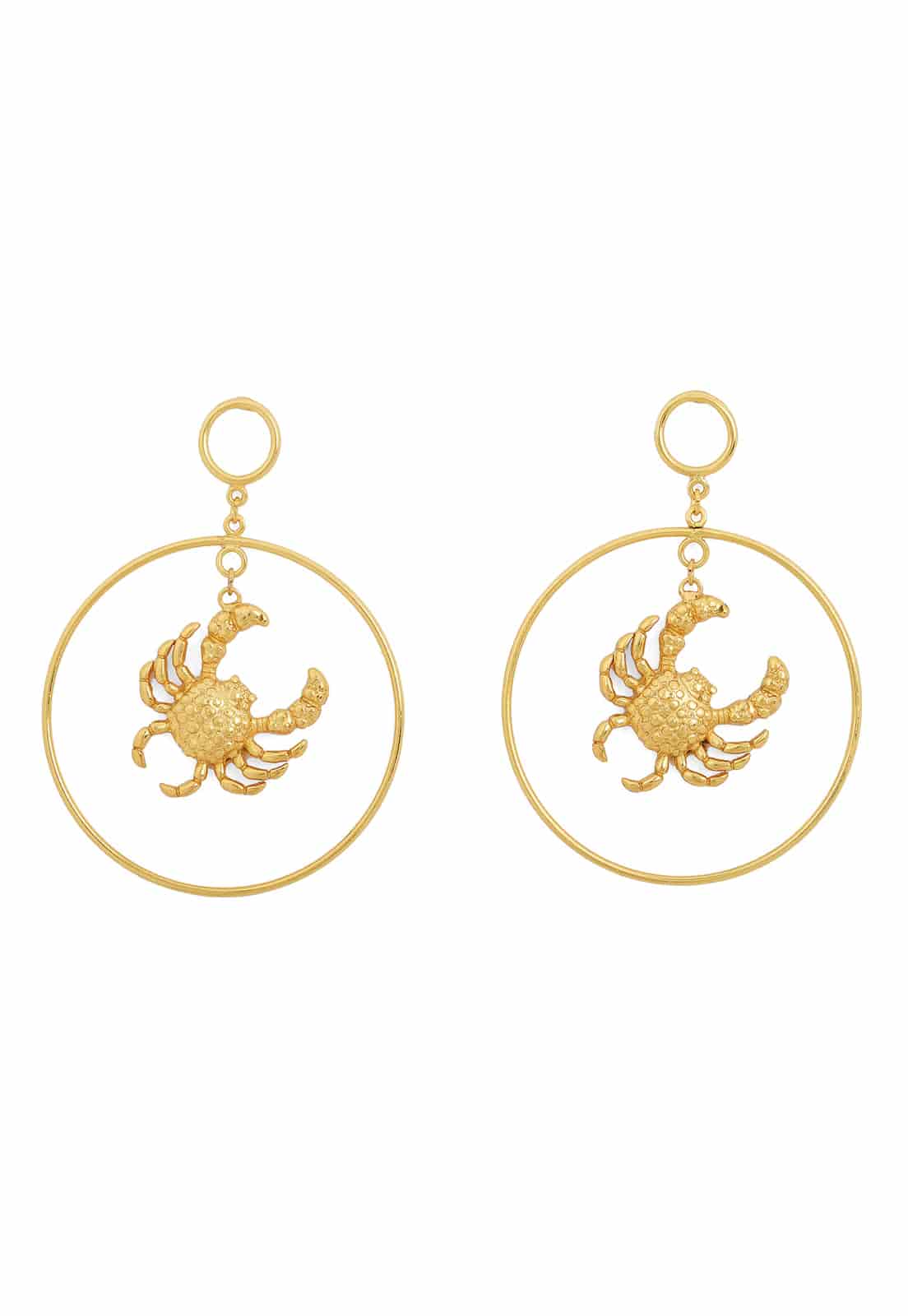 Mr Crab Maxi Hoops - miniatura 1