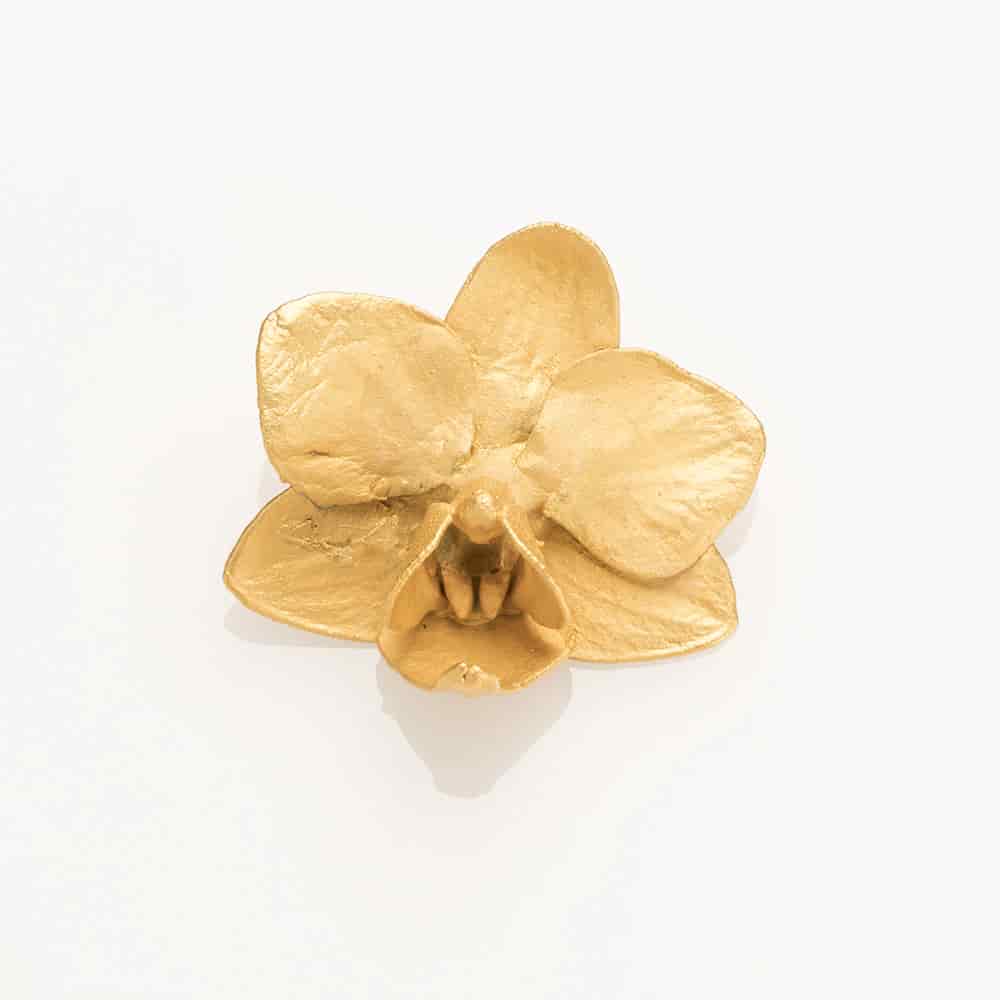 Mini Phalaenopsis Orchid Button - miniatura 1