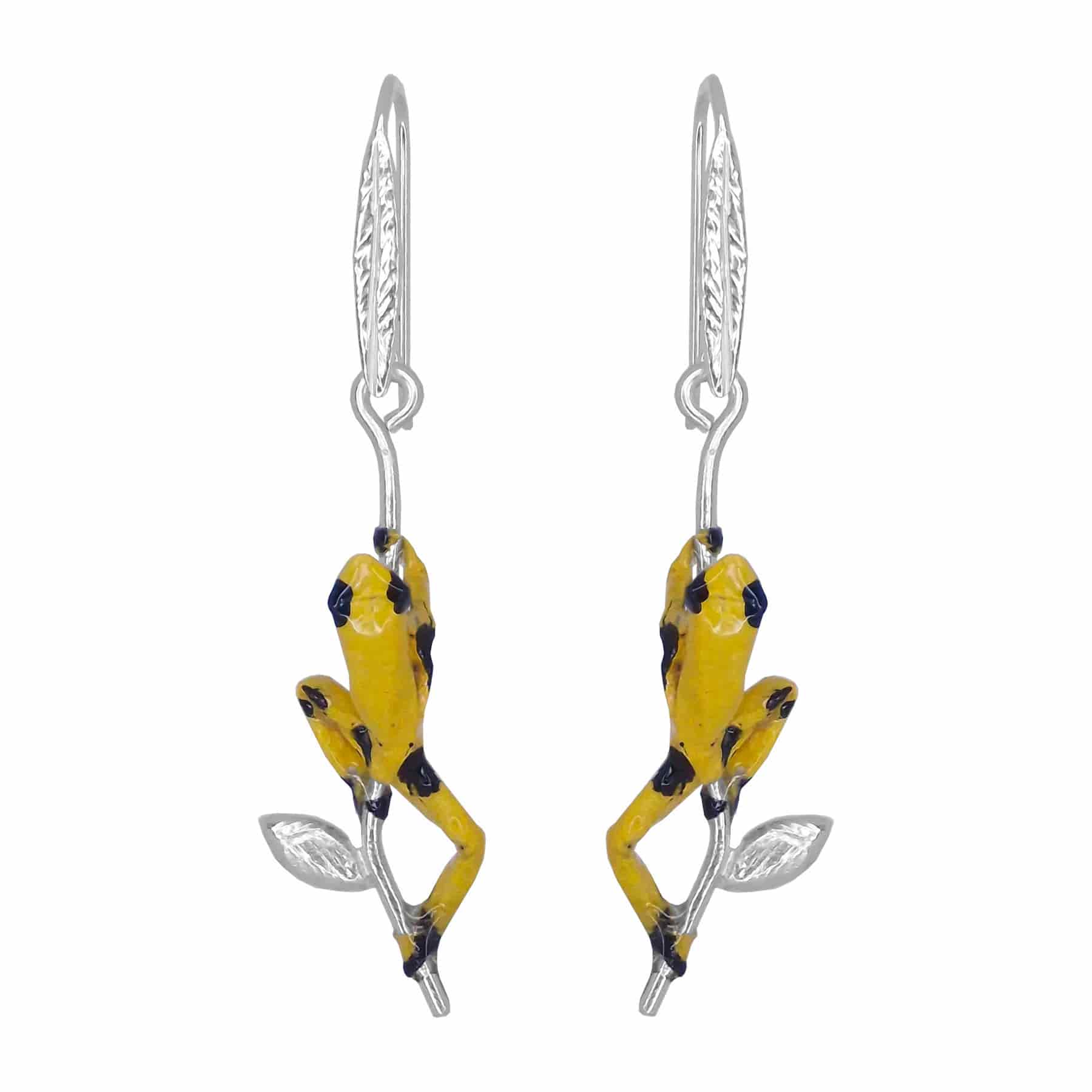 Arete rana - miniatura 1