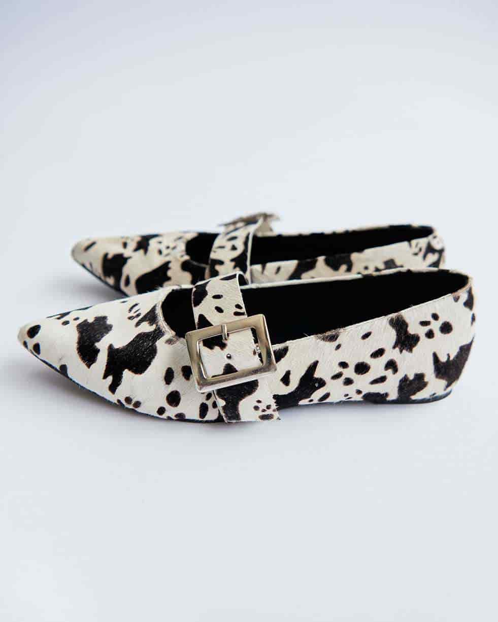 COW POINTER FLATS - miniatura 1
